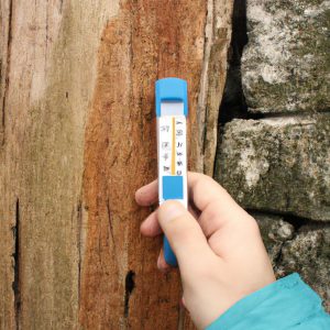 Person measuring wood moisture content